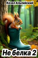 Обложка произведения Не белка 2