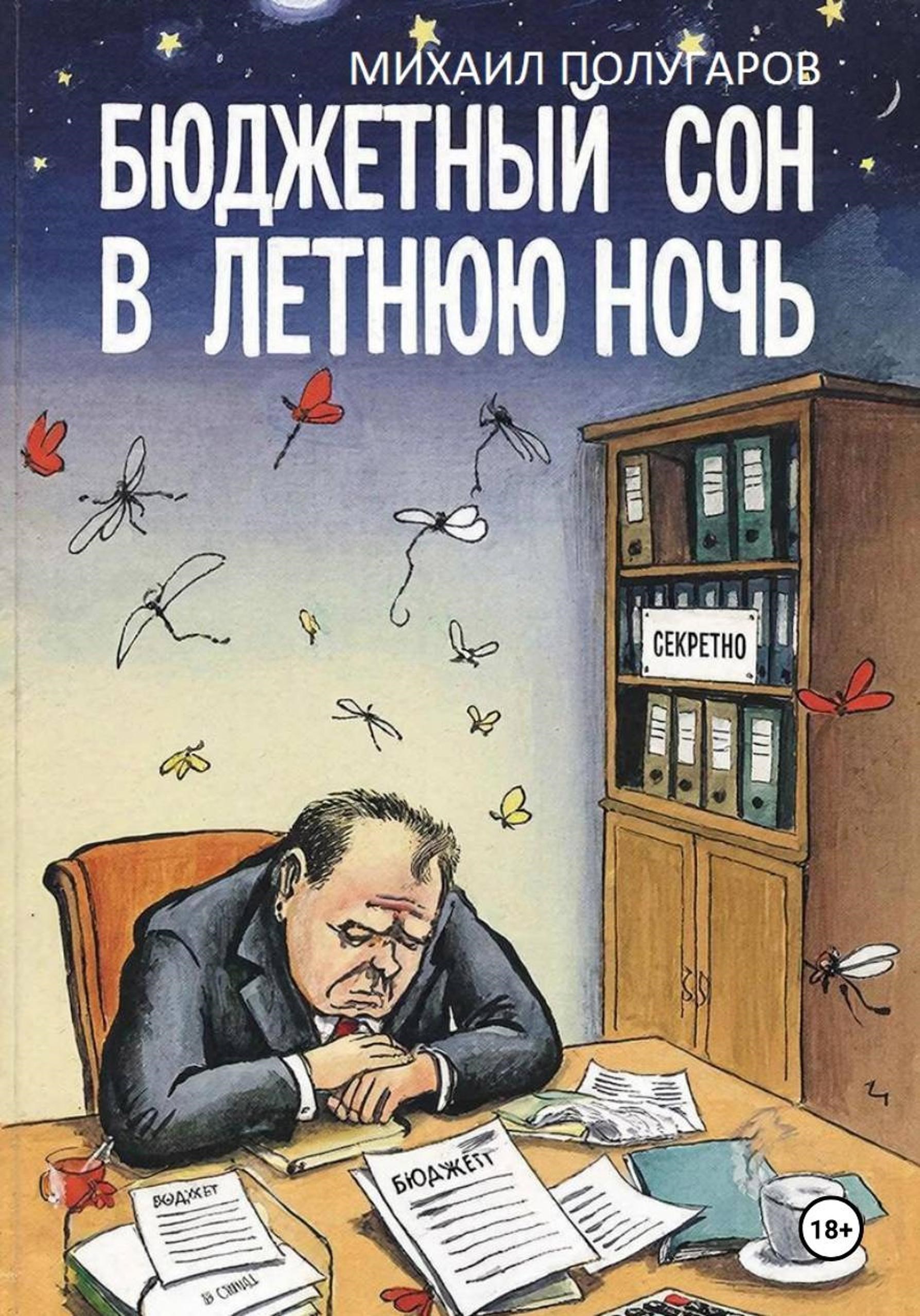 Обложка книги «Бюджетный сон в летнюю ночь. Хроники оперативной реальности N-ского района»