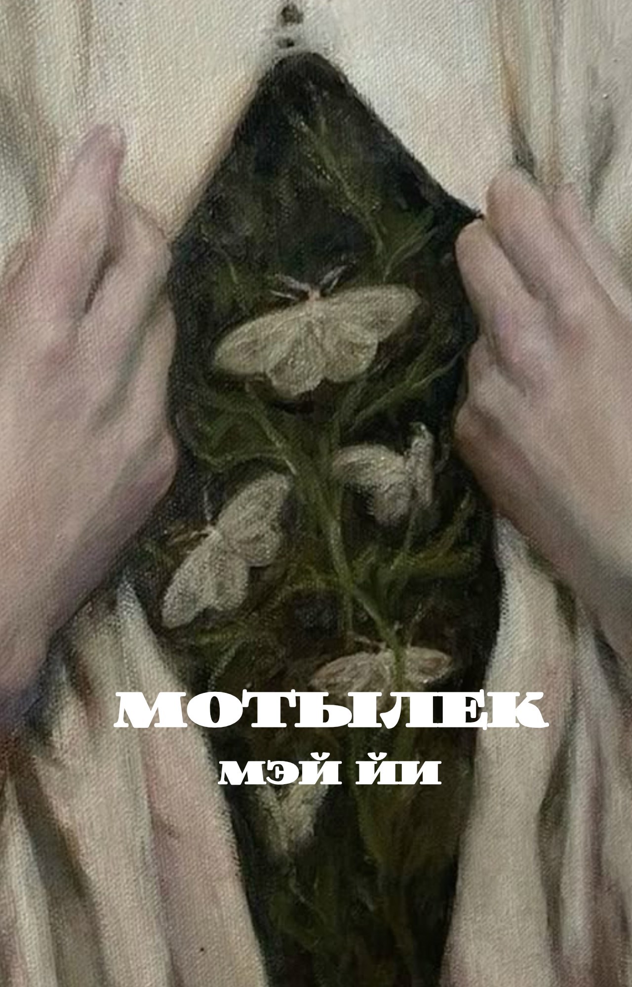 Обложка книги «Мотылек»
