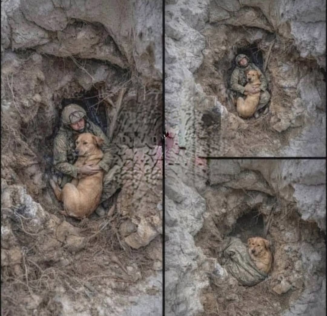 Обложка книги «Друг до последнего вздоха»