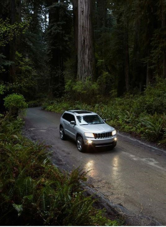 Обложка книги «Равновесие»