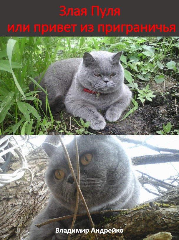 Обложка книги «Злая Пуля или привет из приграничья»