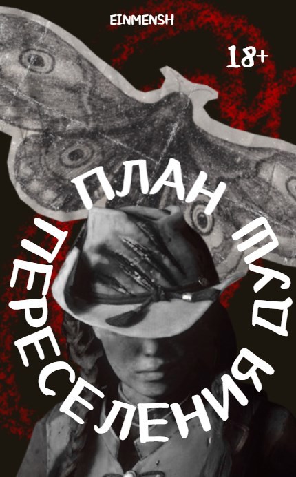 Обложка книги «План переселения душ 18+»