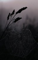 Обложка произведения Сказочники врут