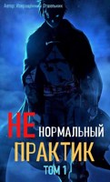 Обложка произведения АУДИОКНИГА: Ненормальный практик 1
