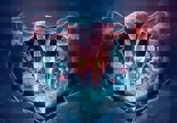 ЧРЕВО -дзен