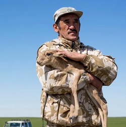 автор Ospan Ali