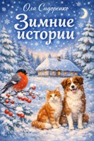 Обложка произведения Зимние истории
