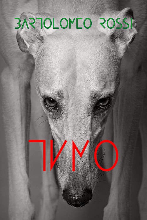 Обложка книги «Тимо»