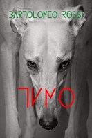 Обложка произведения Тимо