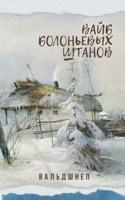 Обложка произведения Вайб болоньевых штанов