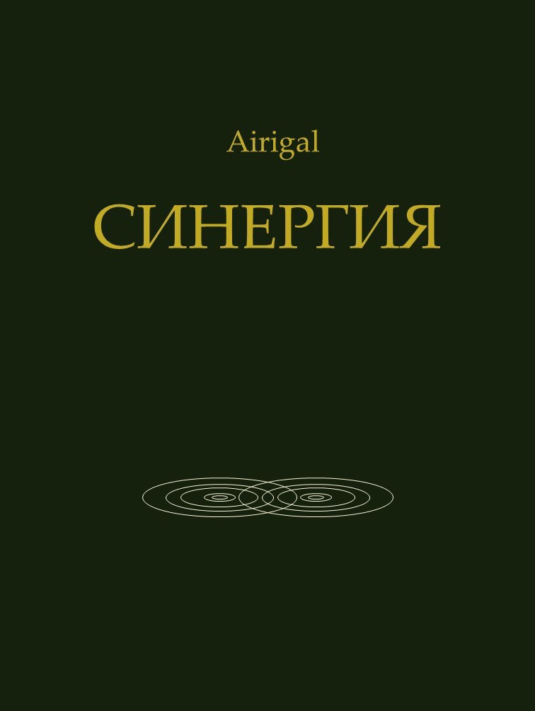 Обложка книги «Синергия»
