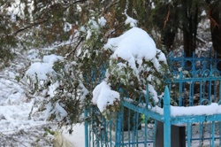 Ориби Каммпирр - Три...