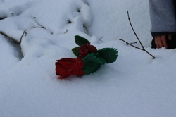 Ориби Каммпирр - Три...