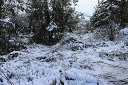 Ориби Каммпирр - Три...