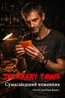 Обложка произведения The Crazy Tanner