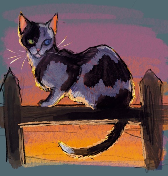 Иллюстрация