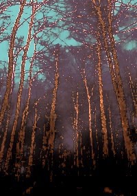 Обложка книги «Теория уродика»