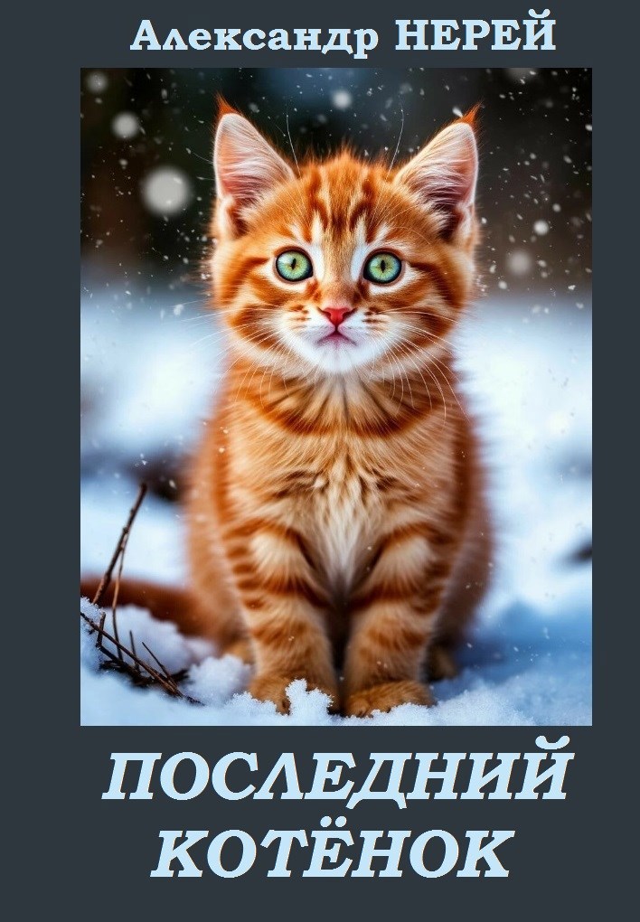 Обложка книги «Последний котёнок»