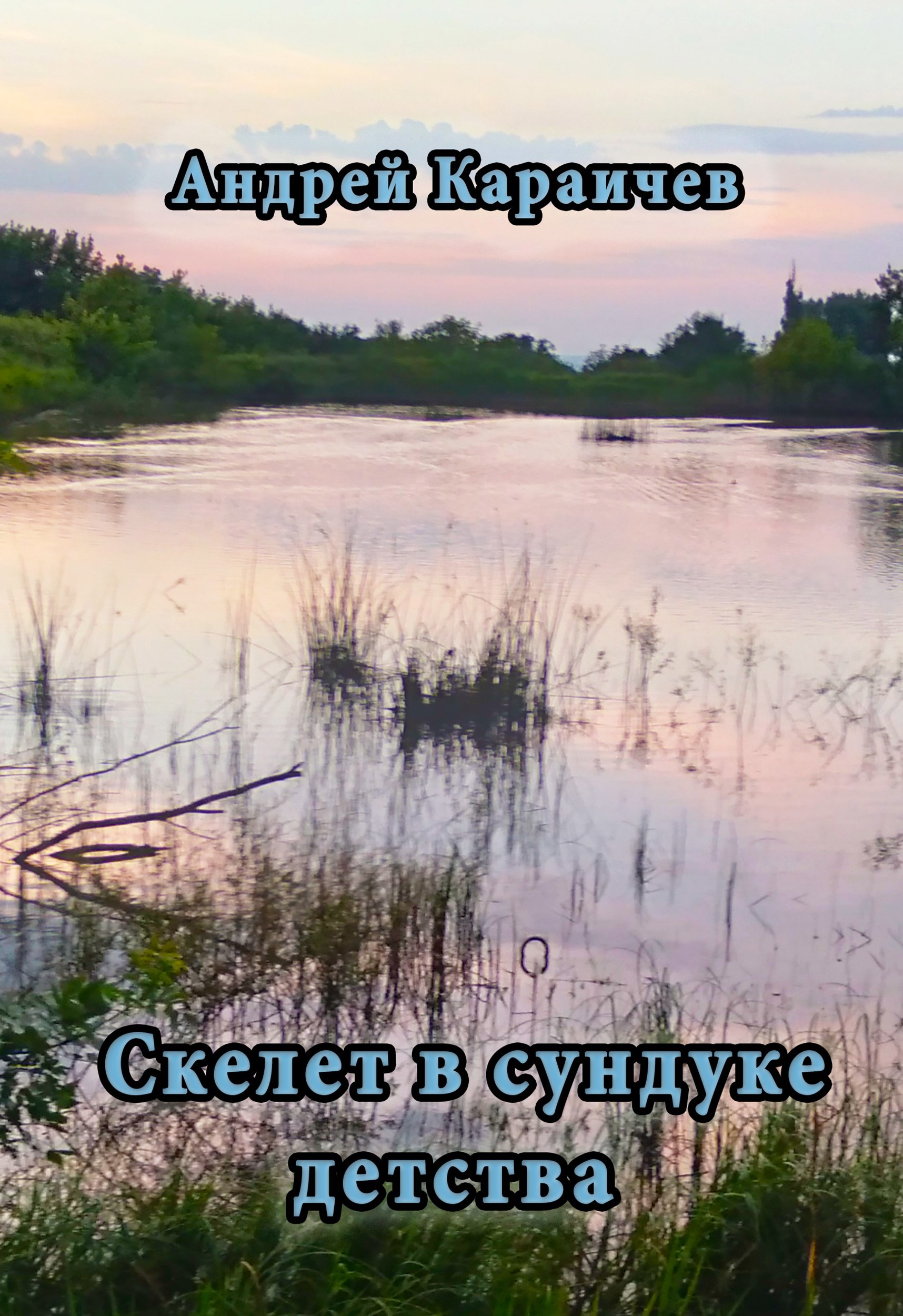 Обложка книги «Скелет в сундуке детства»