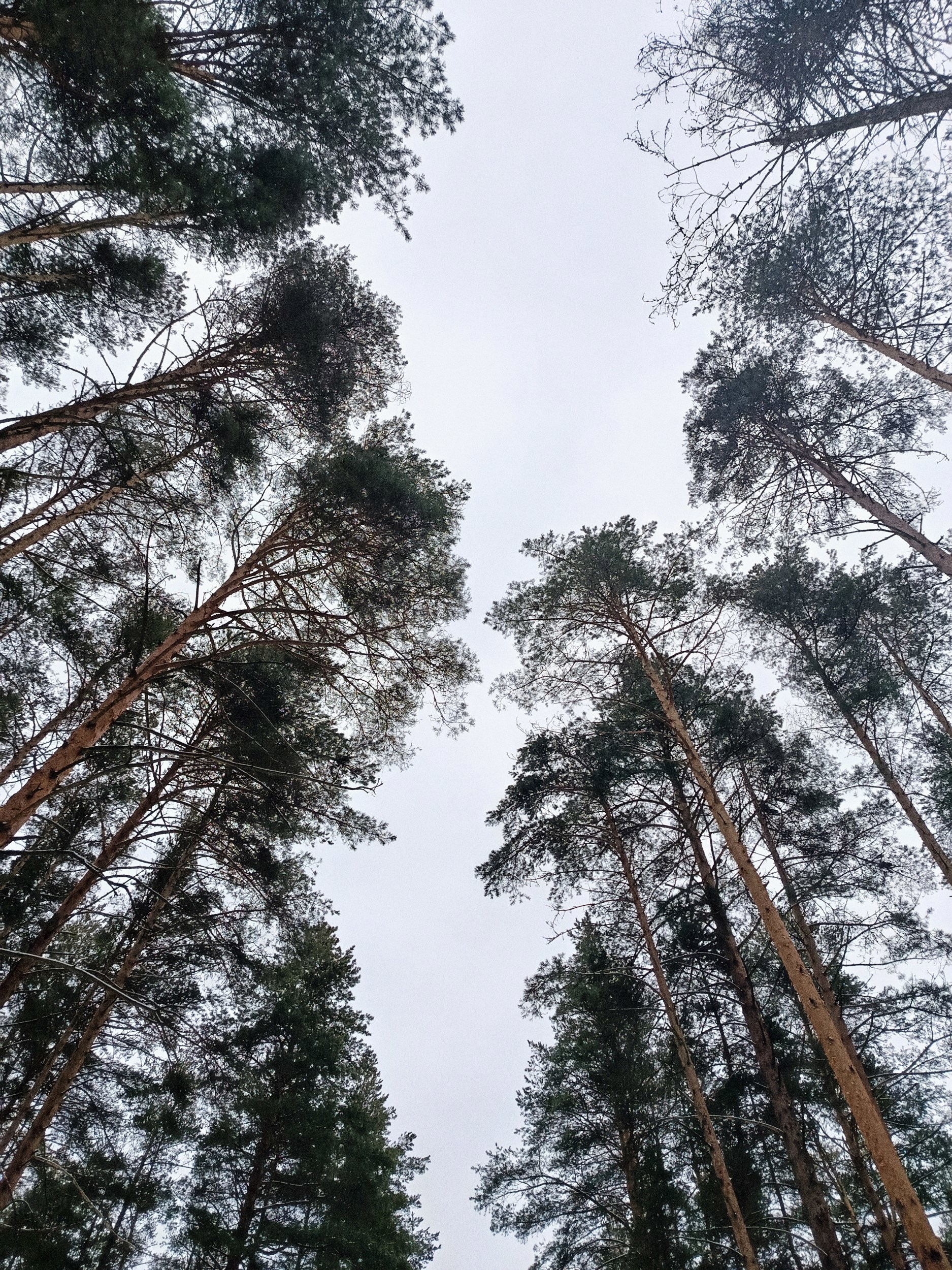 Обложка книги «Дороги назад нет»