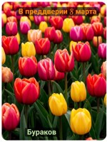 Обложка произведения В преддверии 8 марта