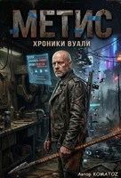 Обложка произведения Хроники Вуали: Метис