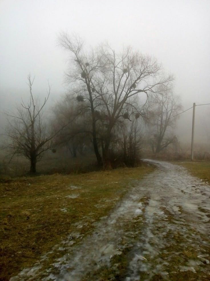 Обложка книги «Горечь»