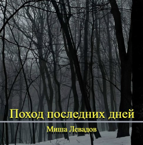 Обложка книги «Поход Последних Дней»