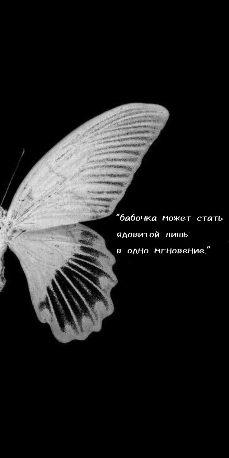 Обложка книги «Бабочка без крыльев»