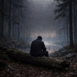 Обложка произведения Тишина.