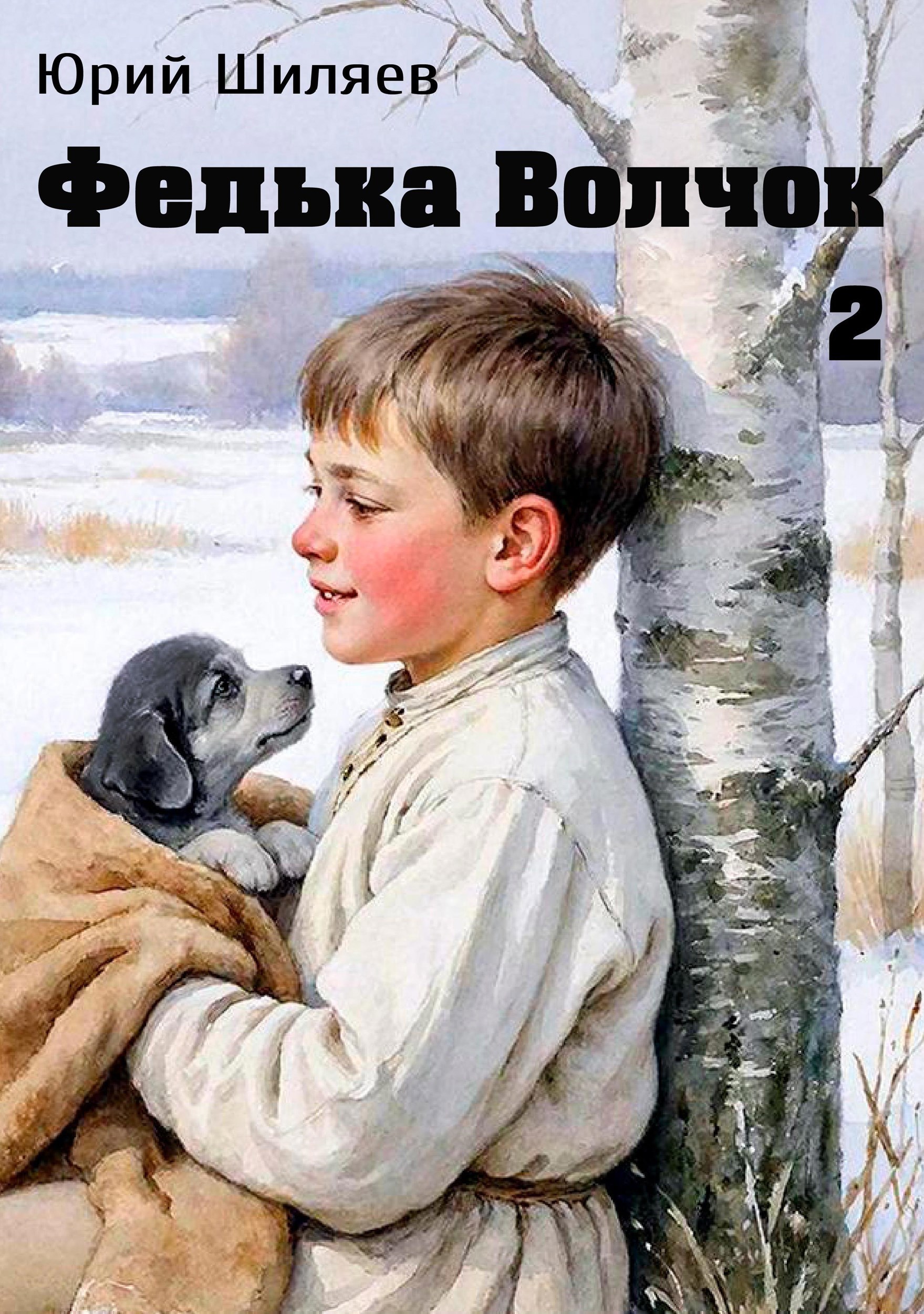 Обложка книги «Федька Волчок 2»