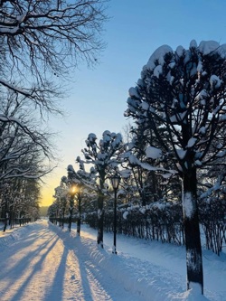 Кусково