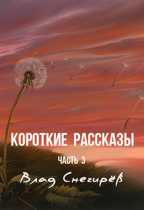 Обложка книги «Короткие рассказы: часть 3»
