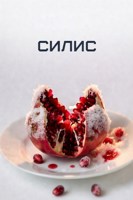 Обложка произведения Силис