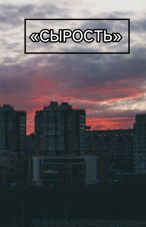 Обложка книги «Сырость»