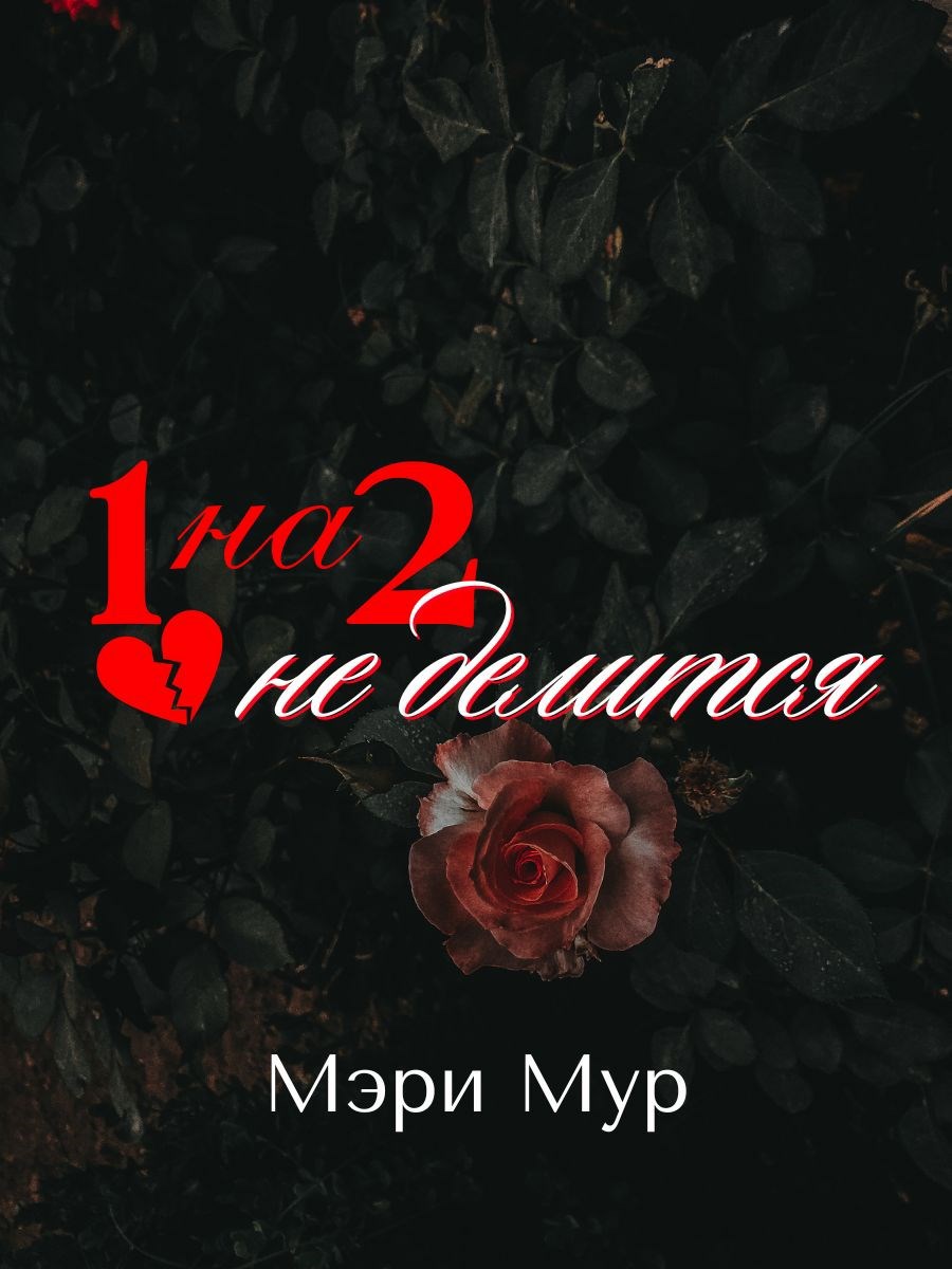 Обложка книги «1 на 2 не делится»