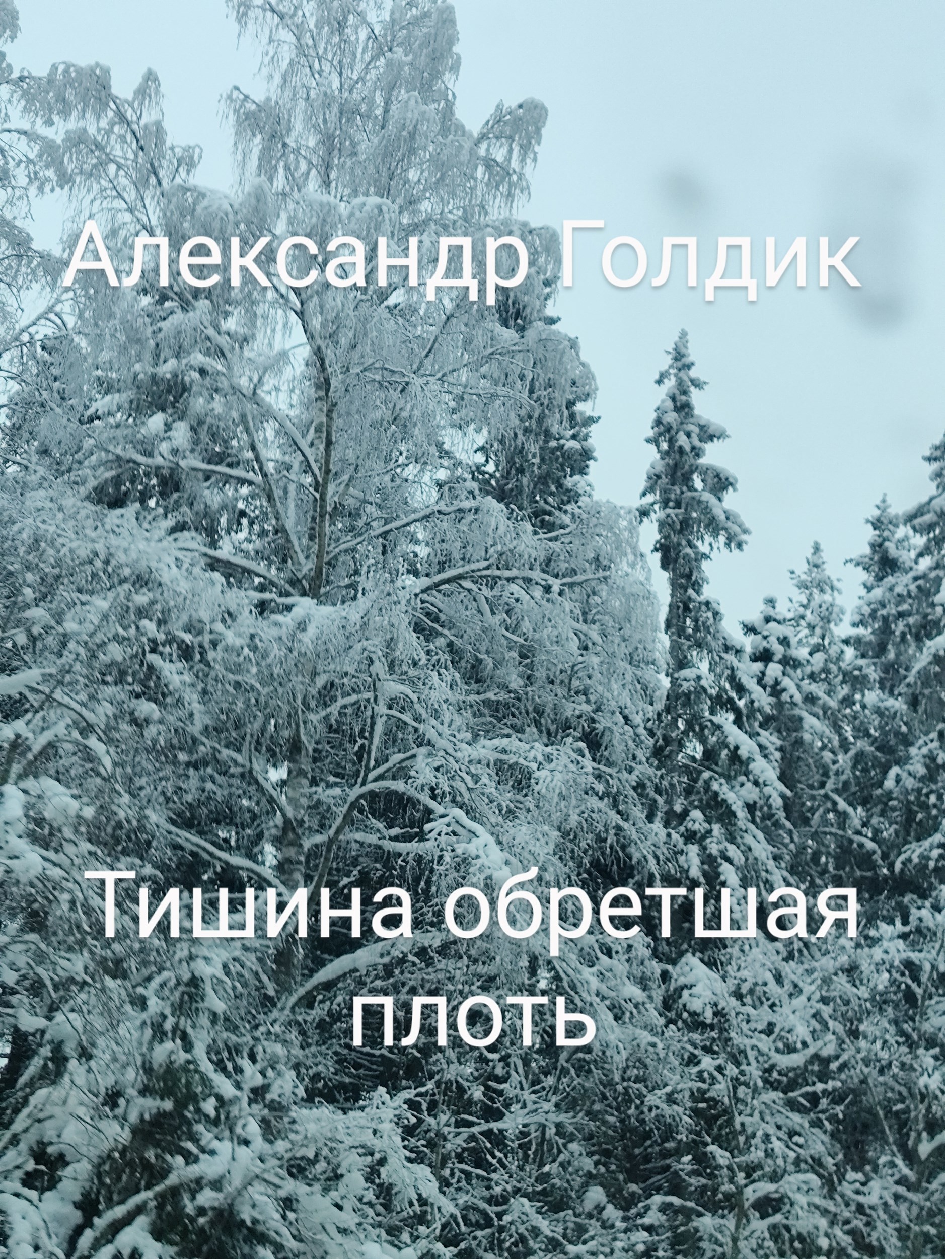 Обложка книги «Тишина обретшая плоть»