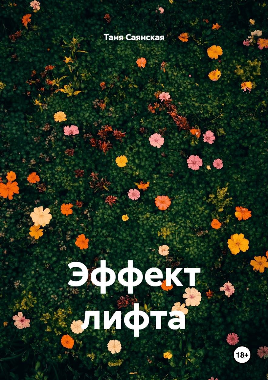 Обложка книги «Эффект лифта»