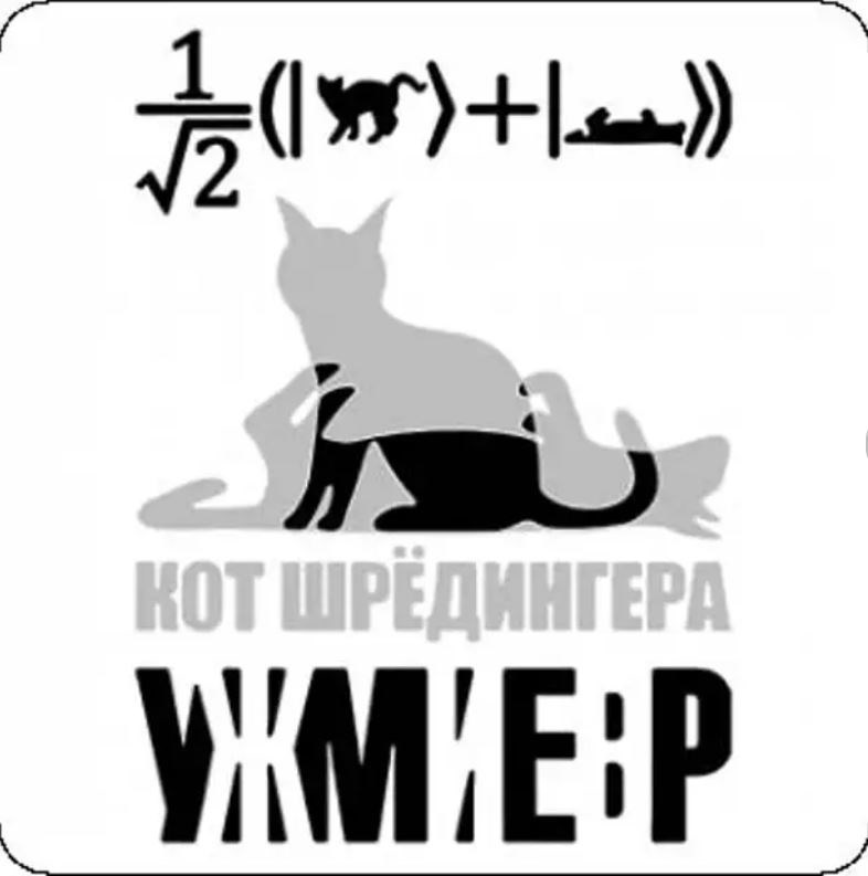 Обложка книги «Кот Шредингера»