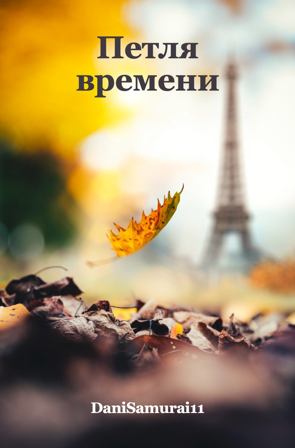 Обложка книги «Петля времени.»