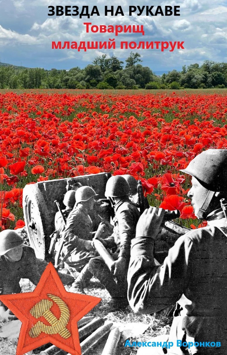 Обложка книги «Товарищ младший политрук»