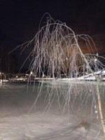 Обложка произведения Яга и новое соседство