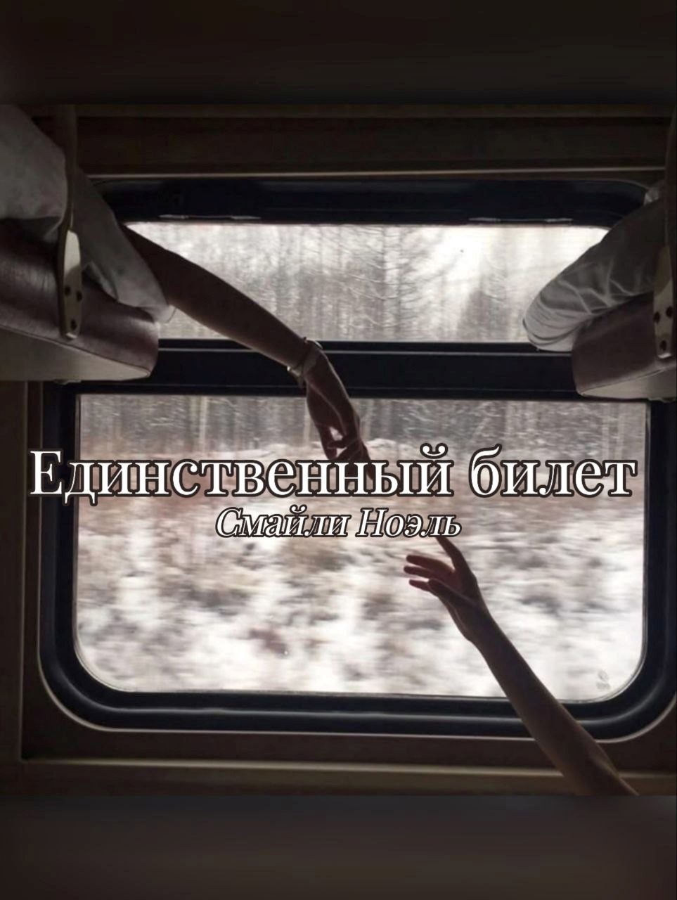 Обложка книги «Единственный билет»