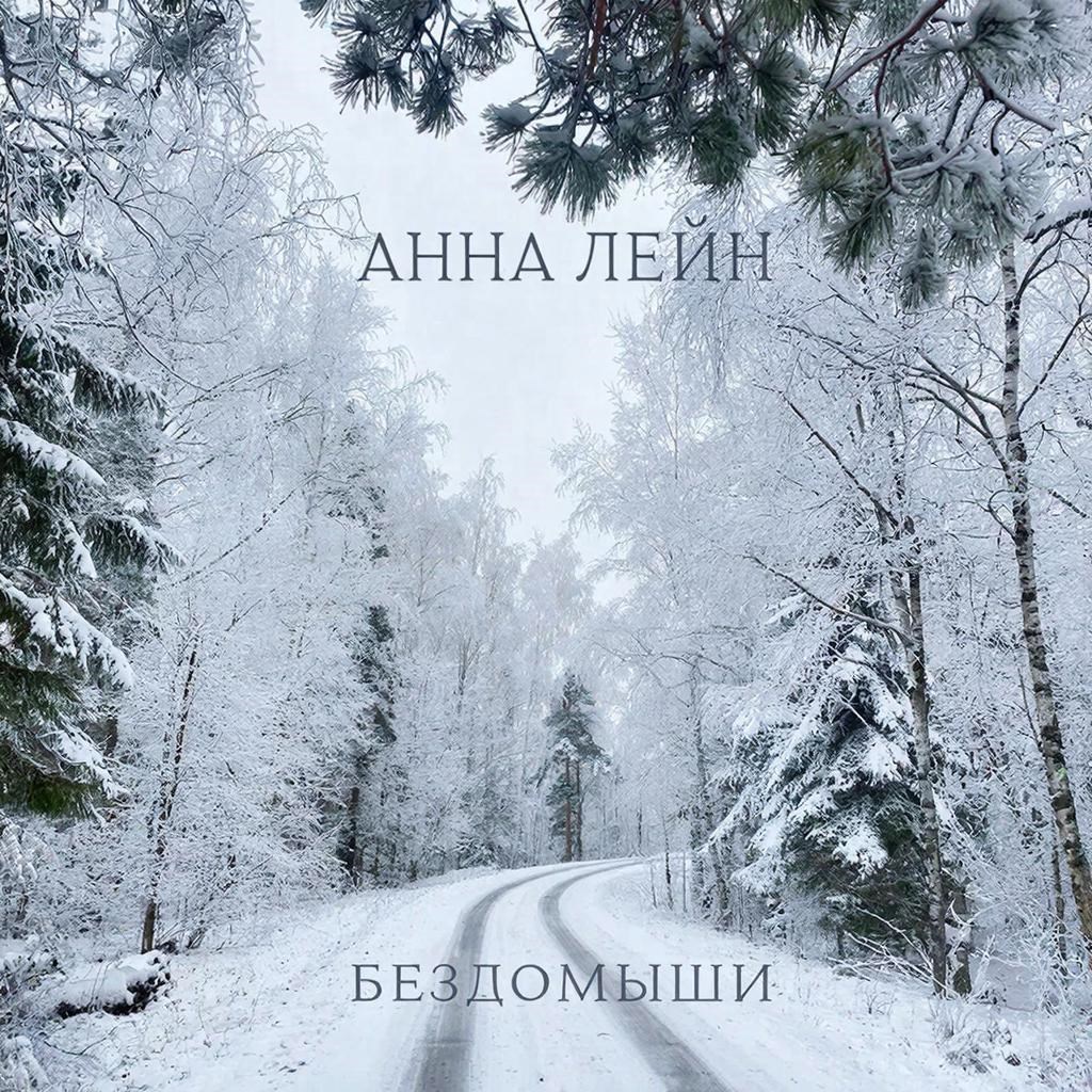 Обложка книги «Бездомыши»