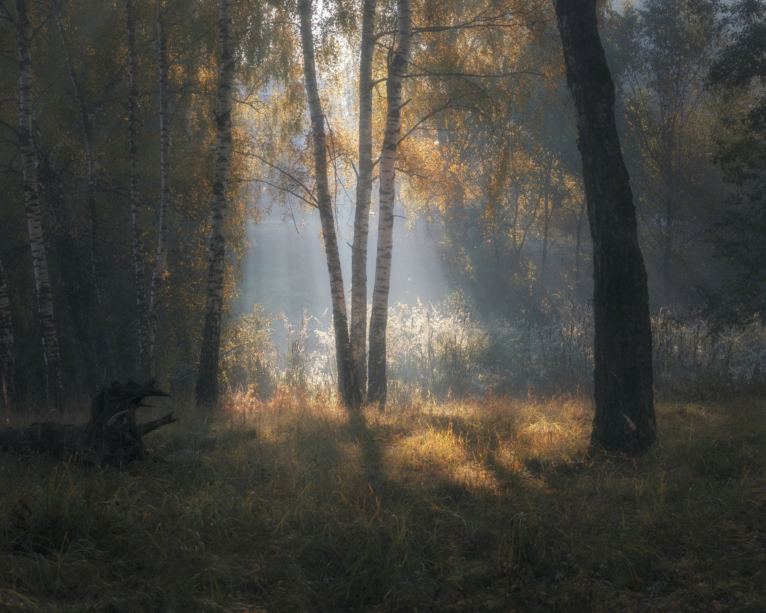 Обложка книги «Небесная роса»