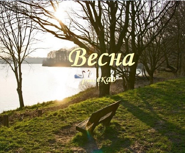 Обложка книги «Весна»
