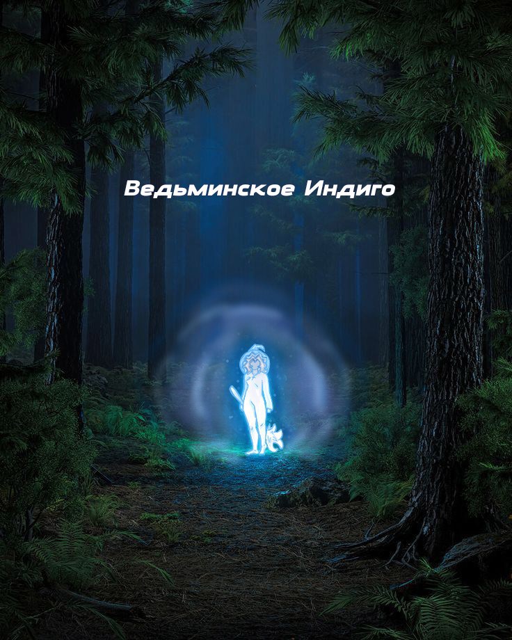 Обложка книги «Ведьминское Индиго»
