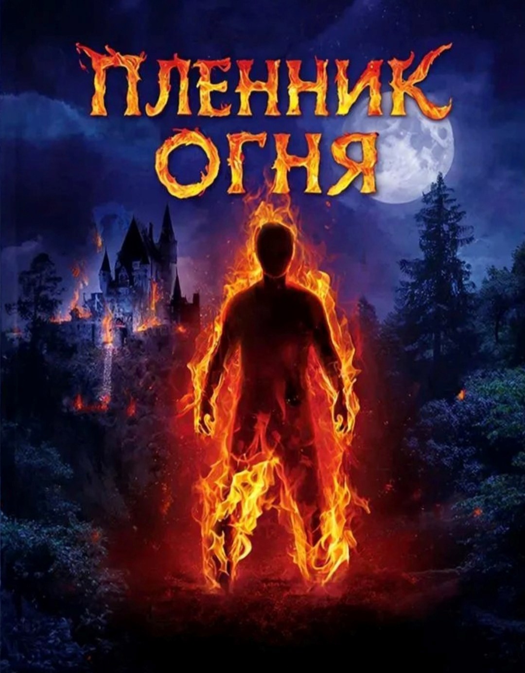 Обложка книги «Пленник огня»