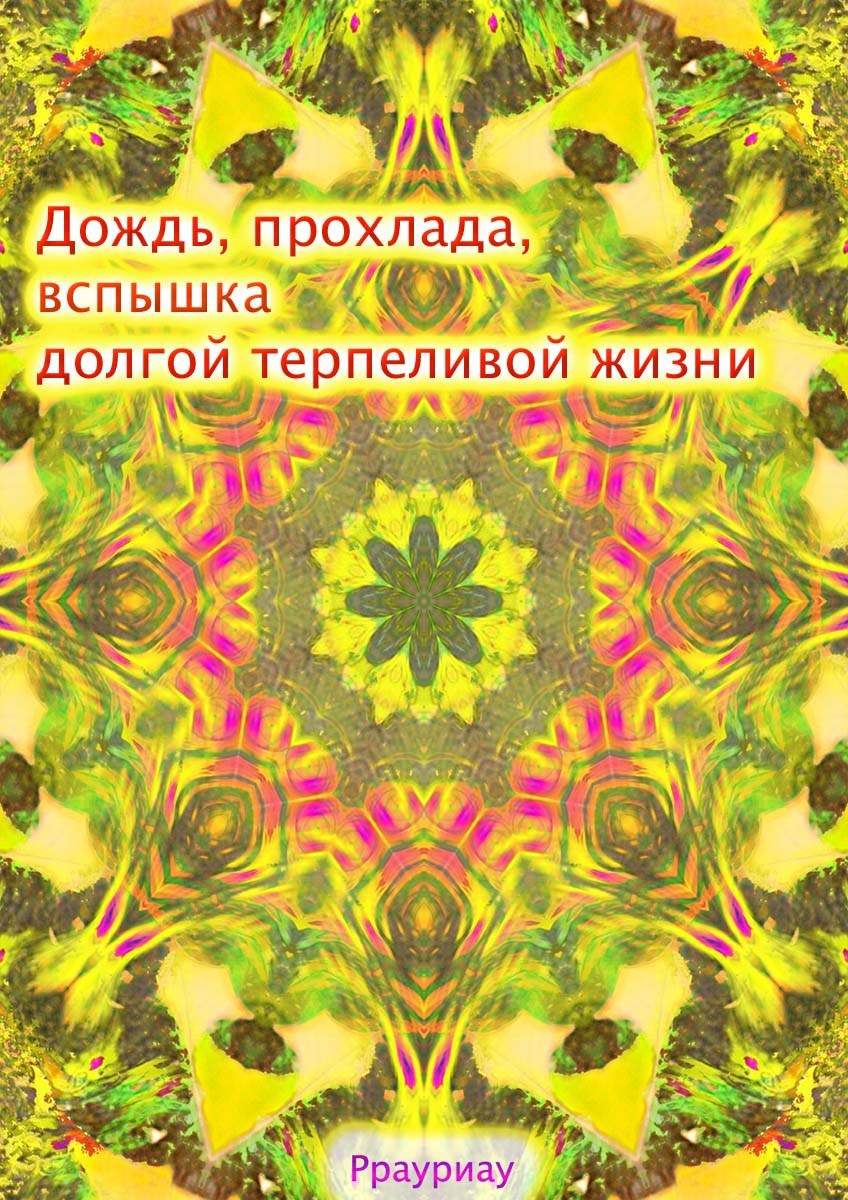 Обложка книги «Дождь, прохлада, вспышка долгой терпеливой жизни»